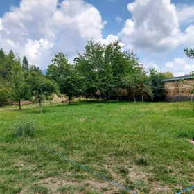 In Qəbələ nan acre land is for sale - Изображение 3