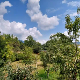 In Qəbələ nan acre land is for sale - Изображение 4