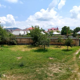 In Qəbələ nan acre land is for sale - Изображение 5