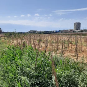 Baku-da nan sot torpaq satılır - Şəkil 3