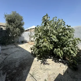 Baku-da 4.0 otaqlı 130.0 m2 bağ satılır - Şəkil 3