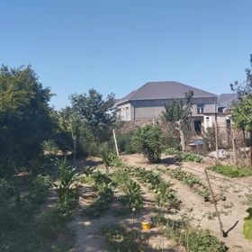 In Baku nan acre land is for sale - Image 5