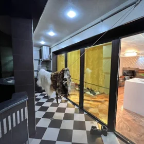 Baku-da 150.0 m2 mənzil kirayə verilir - Şəkil 5