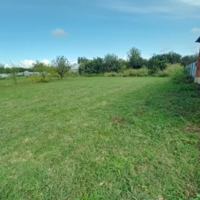 Zaqatala rayonu-da nan sot torpaq satılır - Şəkil 2