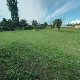 Zaqatala rayonu-da nan sot torpaq satılır - Şəkil 3