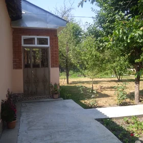 Qəbələ-da nan sot torpaq satılır - Şəkil 3