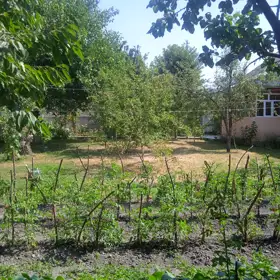 Qəbələ-da nan sot torpaq satılır - Şəkil 4