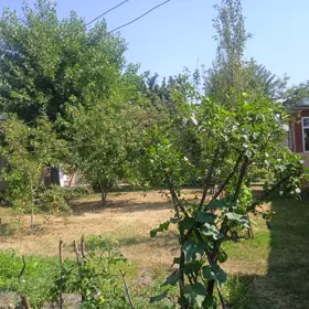 Qəbələ-da nan sot torpaq satılır - Şəkil 5