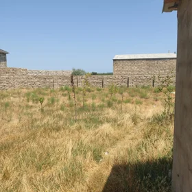 Baku-da nan sot torpaq satılır - Şəkil 3