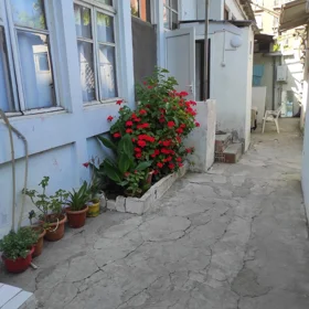 In Baku 50.0 m² house with 1.0 rooms is for rent - Изображение 4