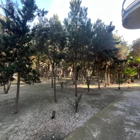 Baku-da 4.0 otaqlı 310.0 m2 bağ satılır - Şəkil 5