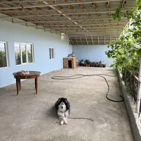 In Baku 400.0 m² house with 8.0 rooms is for sale - Image 5