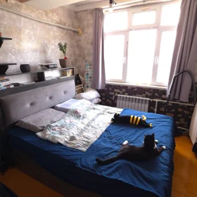 Baku-da 4.0 otaqlı 130.0 m2 bağ kirayə verilir - Şəkil 2