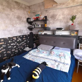 Baku-da 4.0 otaqlı 130.0 m2 bağ kirayə verilir - Şəkil 4