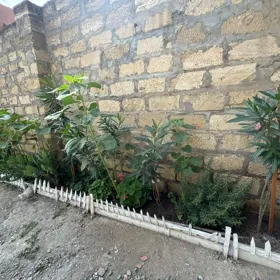 In Baku 100.0 m² house with 5.0 rooms is for sale - Изображение 5