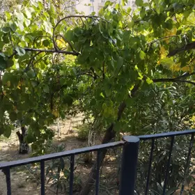 In Baku 110.0 m² apartment is for rent - Изображение 2