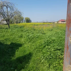 In Masallı 251.0 m² house with 5.0 rooms is for sale - Image 5