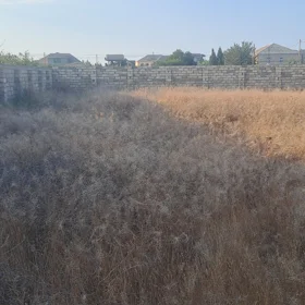 In Baku nan acre land is for sale - Image 5