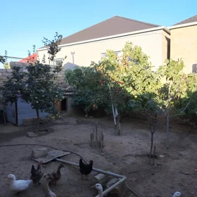 In nan 65.0 m² house with 2.0 rooms is for sale - Image 2