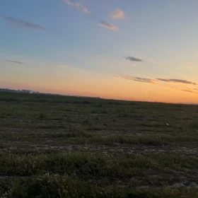 Baku-da nan sot torpaq satılır - Şəkil 3