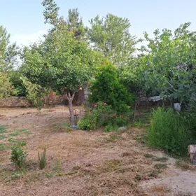 Baku-da nan sot torpaq satılır - Şəkil 2