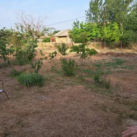 Baku-da nan sot torpaq satılır - Şəkil 3