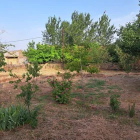 Baku-da nan sot torpaq satılır - Şəkil 4