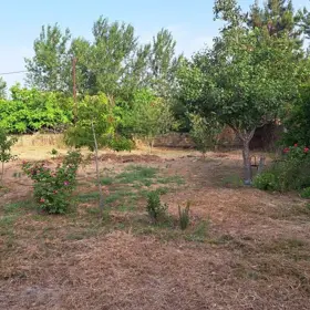 Baku-da nan sot torpaq satılır - Şəkil 5