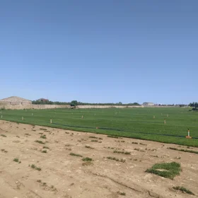 Baku-da nan sot torpaq satılır - Şəkil 3