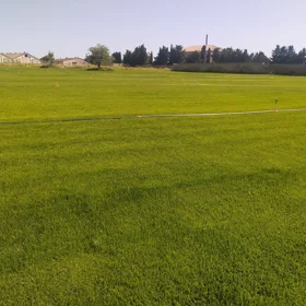 Baku-da nan sot torpaq satılır - Şəkil 4