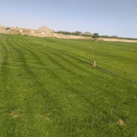 Baku-da nan sot torpaq satılır - Şəkil 5