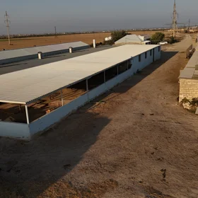 In Xızı rayonu nan acre land is for sale - Image 5