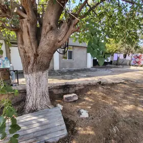 Baku-da 4.0 otaqlı 130.0 m2 bağ satılır - Şəkil 2