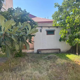 nan-da nan sot torpaq satılır - Şəkil 3