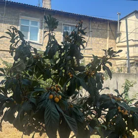 nan-da nan sot torpaq satılır - Şəkil 4