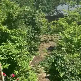 In Şamaxı 320.0 m² house with 12.0 rooms is for sale - Изображение 4