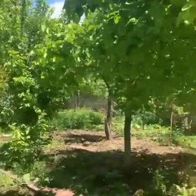 In Şamaxı 320.0 m² house with 12.0 rooms is for sale - Изображение 3