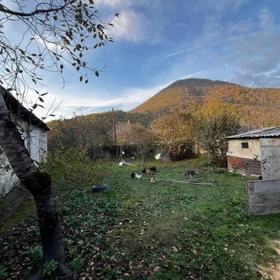 In Gabala 150.0 m² house with 5.0 rooms is for sale - Image 3