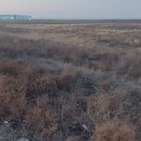 In Göygöl rayonu nan acre land is for sale - Image 5