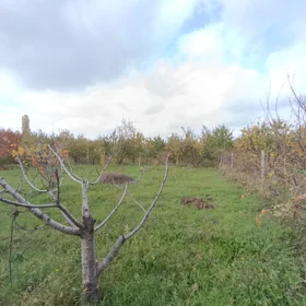 In Şabran rayonu 100.0 m² house with 3.0 rooms is for sale - Image 3