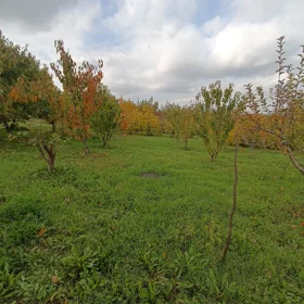 In Şabran rayonu 100.0 m² house with 3.0 rooms is for sale - Image 5