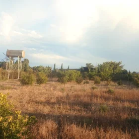 In Baku nan acre land is for sale - Image 2