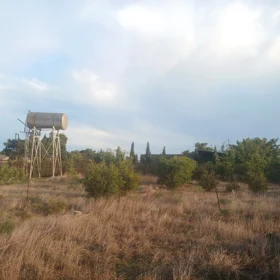 In Baku nan acre land is for sale - Image 3