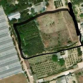 In Baku nan acre land is for sale - Image 5