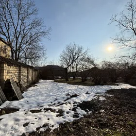 In Gabala nan acre land is for sale - Image 2