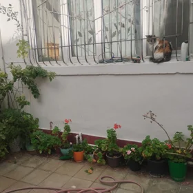 In Baku 5.0 m² house with 6.0 rooms is for sale - Image 3