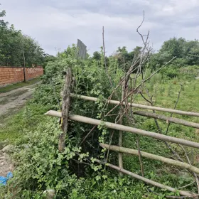 In Zaqatala rayonu nan acre land is for sale - Image 3