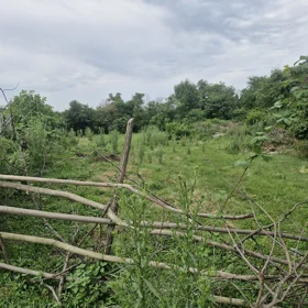 In Zaqatala rayonu nan acre land is for sale - Image 4