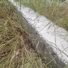 In Baku nan acre land is for sale - Image 5