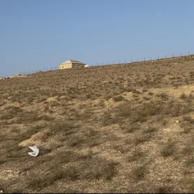 In Baku nan acre land is for sale - Image 2